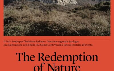 prima presentazione pubblica del progetto di Stefano Cerio The Redemption of Nature: 16 giugno, Saline Conti Vecchi di Assemini.