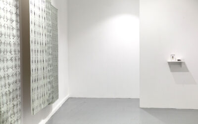 Silvia Bigi, Camille: Edition presentation and exhibition.
