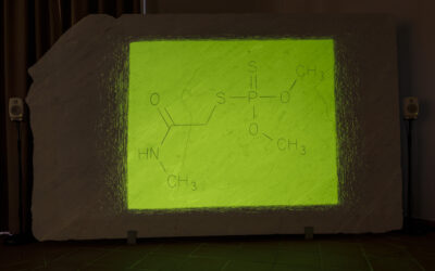 Public Programme, Eleonora Roaro, LA NUBE, mudaC | museo delle arti Carrara