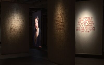 UPCOMING EXHIBITION: Axel Straschnoy, We Believe and Accept that These Beings Exist, opening October 1st.